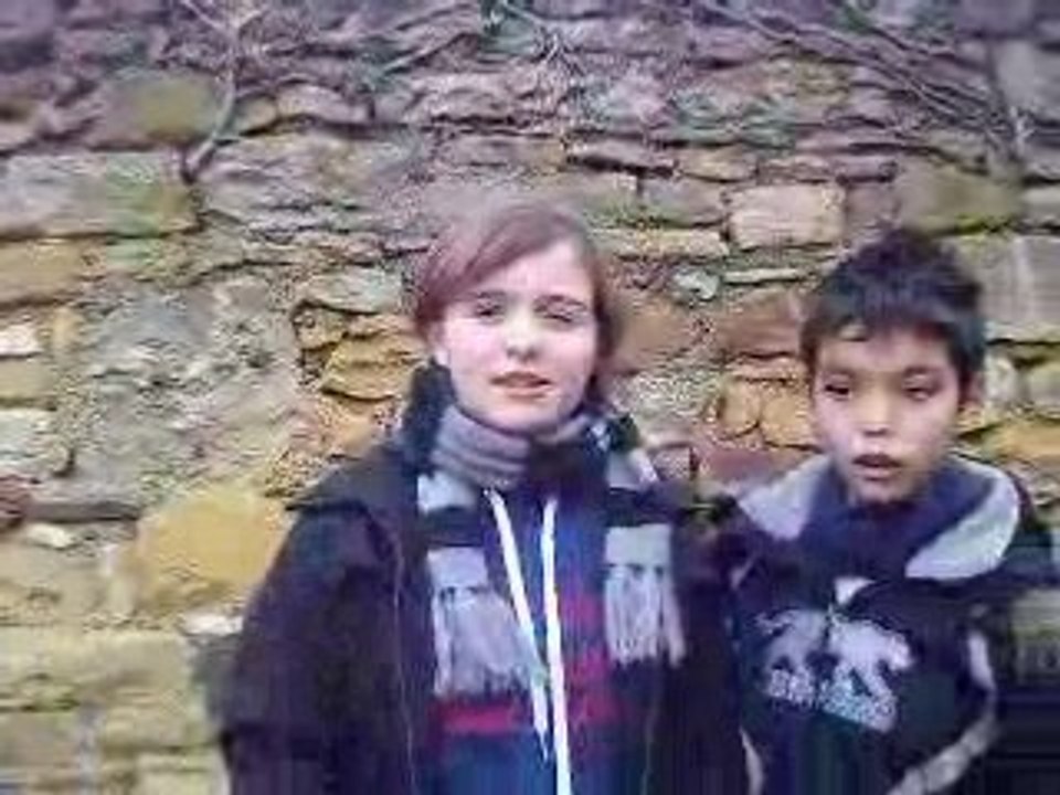 Les Amis <3
