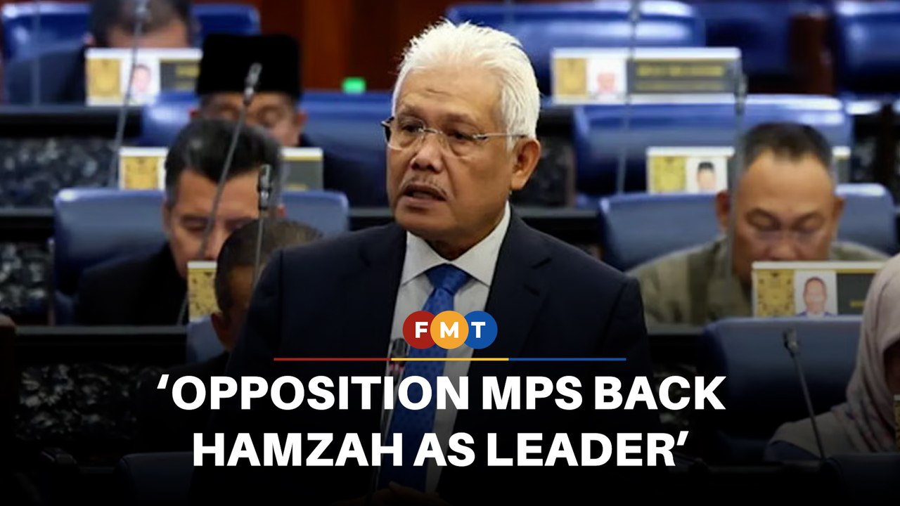 Majority of opposition MPs wanted Hamzah as leader, say duo