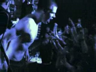 HT - Hoten Toten- Holubica