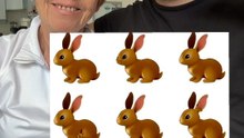 COMBIEN VOYEZ-VOUS DE LAPINS 🐇 ?