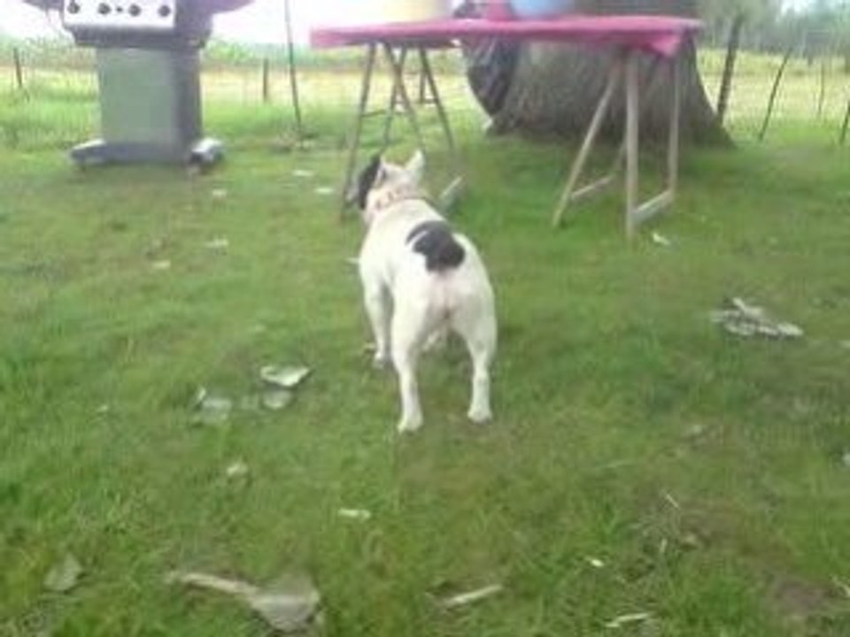 rencontre du 21 juin 2008