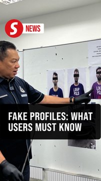 Five nabbed in Johor over assaults and robberies linked to fake dating profiles