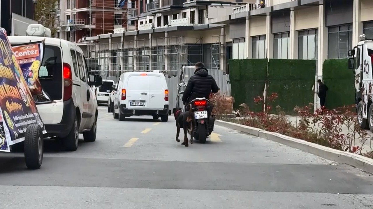 İstanbul’da motosiklete bağladığı köpeği metrelerce koşturdu: 8 bin 678 lira ceza kesildi