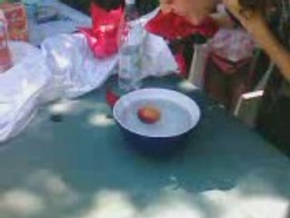 VID015