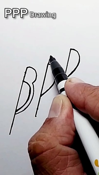 PPP drawing from bird