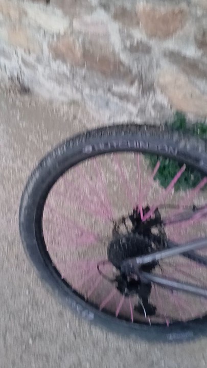 Présentation du vélo bklf