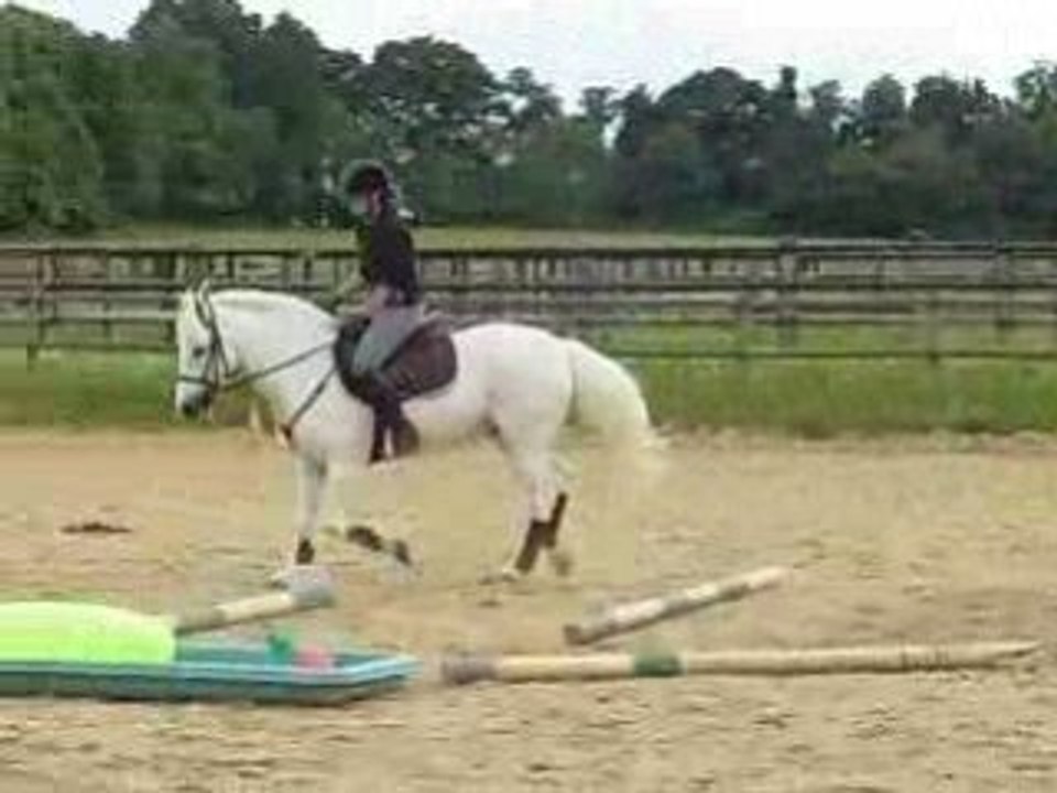 TREC Fakir
