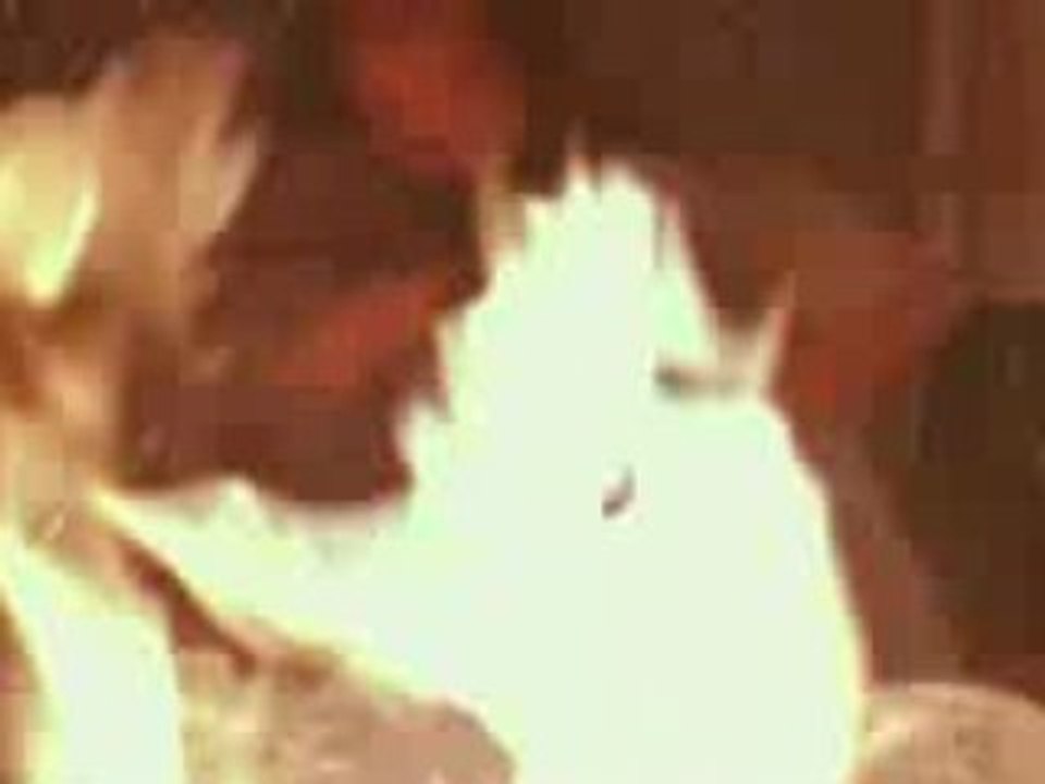 Rapid fire 3
