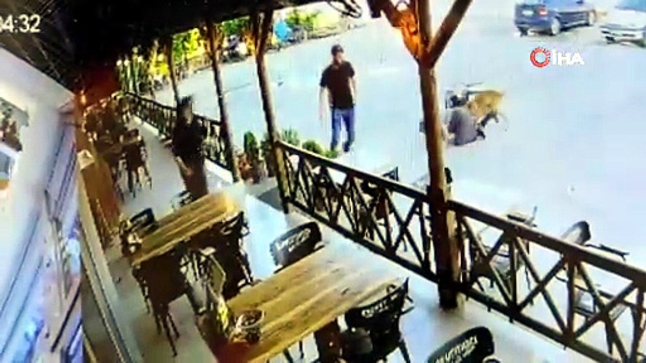 Dinlenme Tesisinde Dehşet! Başıboş Köpek Kadının Kolunu Kopardı