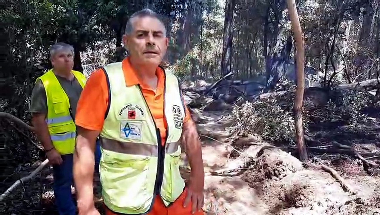 Incendio nella pineta di Viareggio: "L'origine? C'? la mano dell'uomo..."