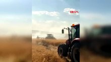 Mardin'de buğday tarlalarında yangın: 230 dönüm zarar gördü