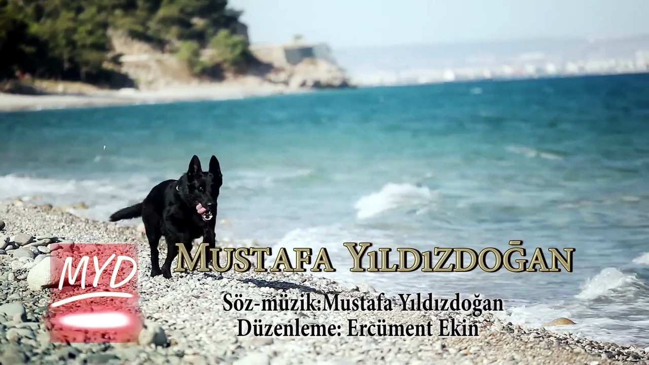 Mustafa Yıldızdoğan - Ölürmüydün