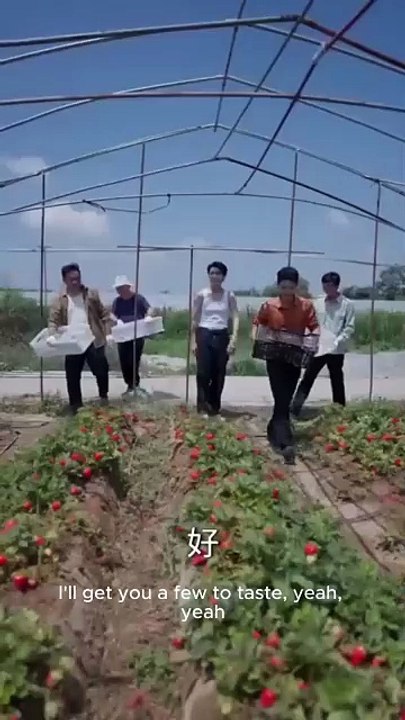Harvesting Hearts Engsub