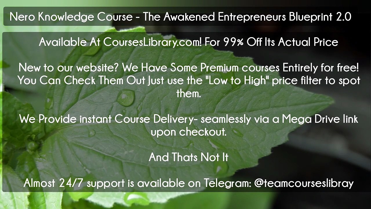 (Courseslibrary.com)Nero Knowledge Course - The Awakened Entrepreneurs Blueprint 2.0