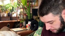 Pug kingdom bulletin