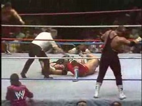 Hart Foundation vs British Bulldogs