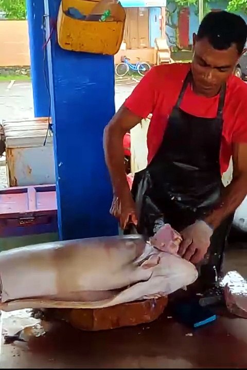 Amazing Fish Cutting Skills