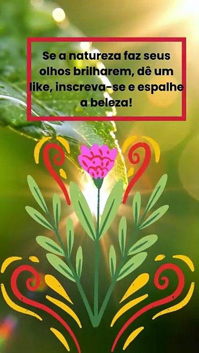 Veja A Beleza Da Natureza