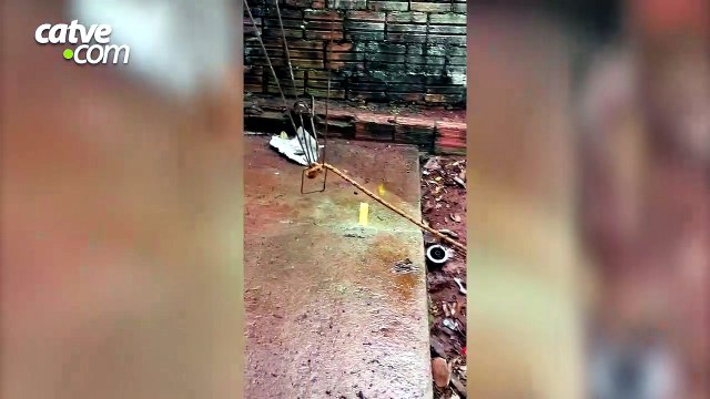 Jovem e mulher são presos por maus-tratos a cachorro no bairro Santa Cruz