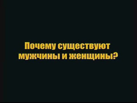 мужчины и женщины?
