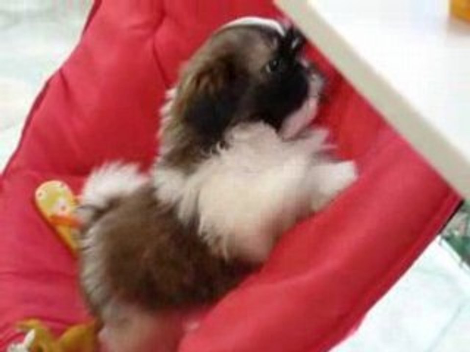 Vidéo 011