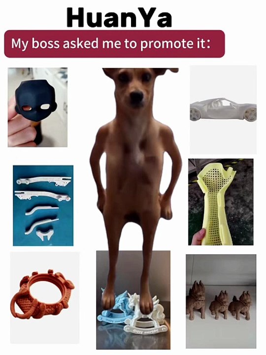 🐶 Funny Promo: All-round 3D printing Solutions
