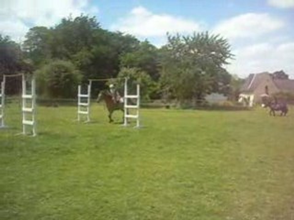 Ithaqu au branches basses