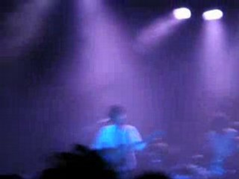 BB brunes - Seul ou accompagné