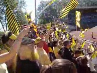 Allez les Jaunes & Noirs