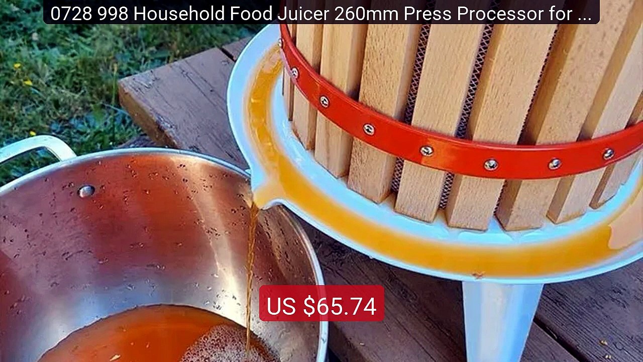 0728 998 Household Food Juicer 260mm Press Processor for Grape... -- Hot Deal 2026 | Limited Offer!
