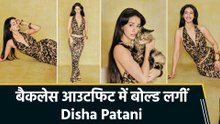 Disha Patani ने फैंस को दिया रिटर्न गिफ्ट, बैकलेस आउटफिट में लगीं ब्यूटीफुल   