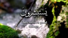 ﴿ يَسْتَبْشِرُونَ بِنِعْمَةٍ مِنَ اللَّهِ وَفَضْلٍ وَأَنَّ اللَّهَ لا يُضِيعُ أَجْرَ المُؤْمِنِينَ ﴾