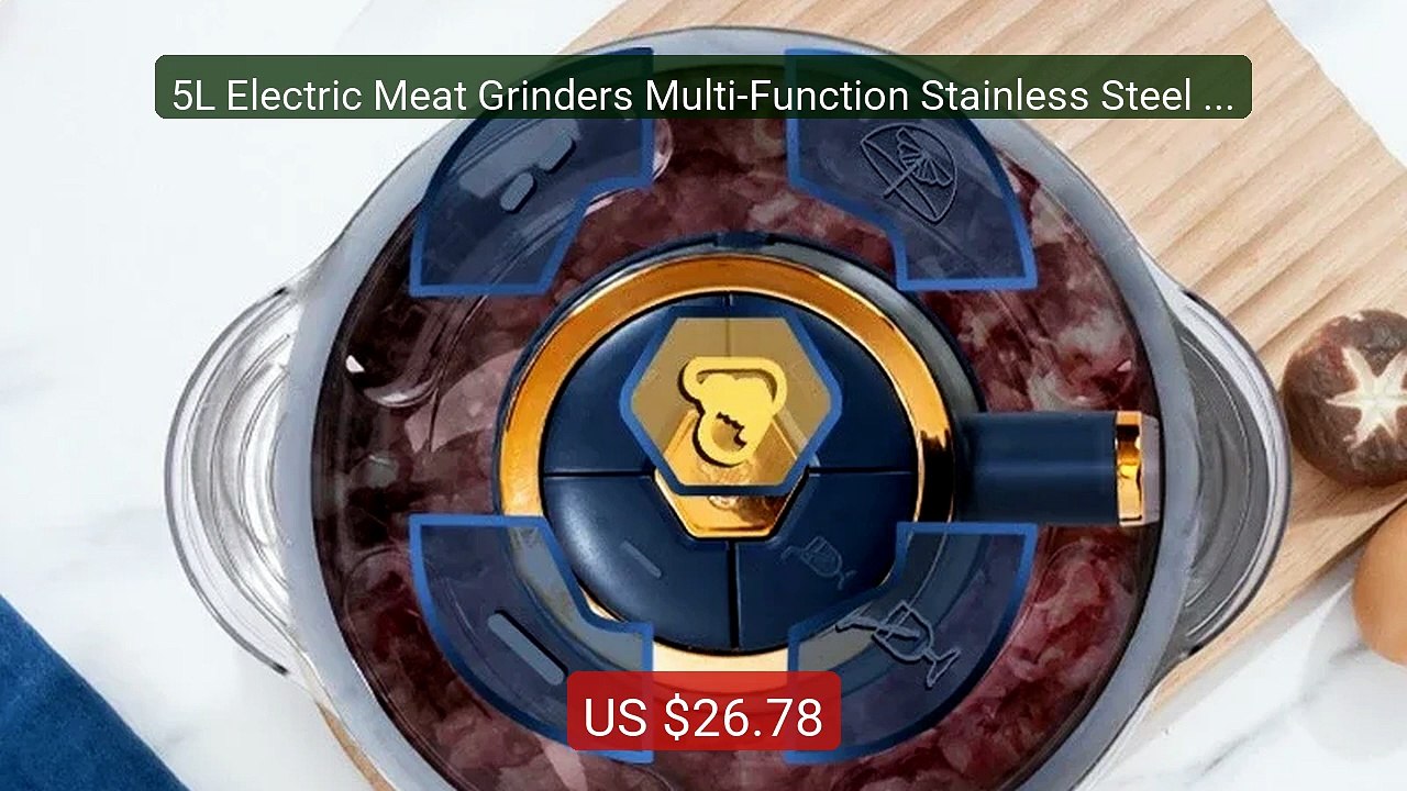 5L Electric Meat Grinders Multi-Function Stainless Steel Blend... -- Best Buy 2026 | Great Quality!
