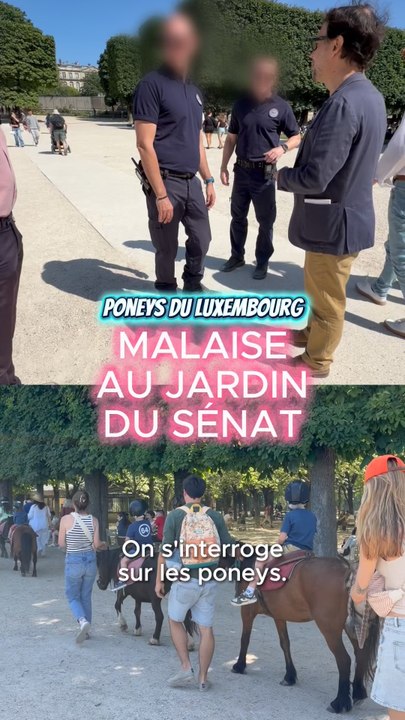 PONEYS DU LUXEMBOURG : MALAISE AU JARDIN DU SÉNAT