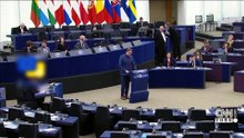 Ömer Çelik'ten AP üyesinin sözlerine tepki