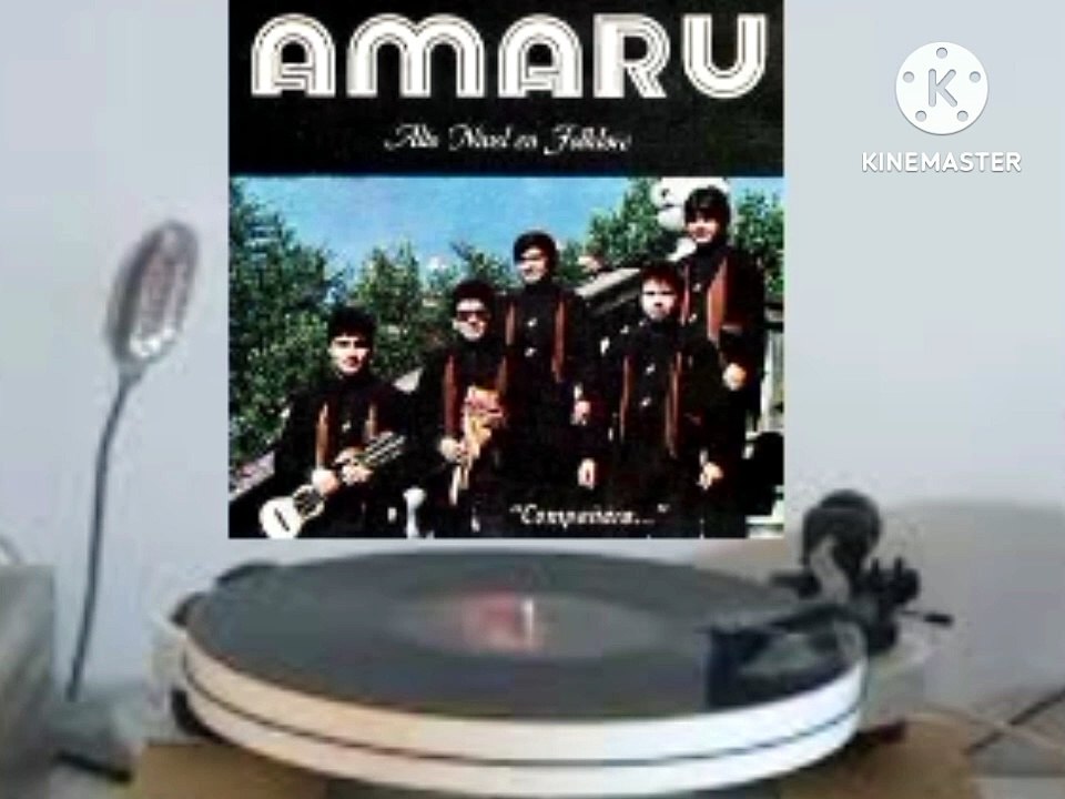 cada cual por su camino amaru vinilo