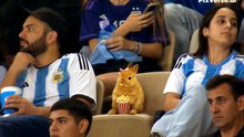 bunny  at FIFA world cup tournament