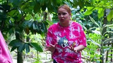 Una mujer toxica   Serie Dominicana Completa