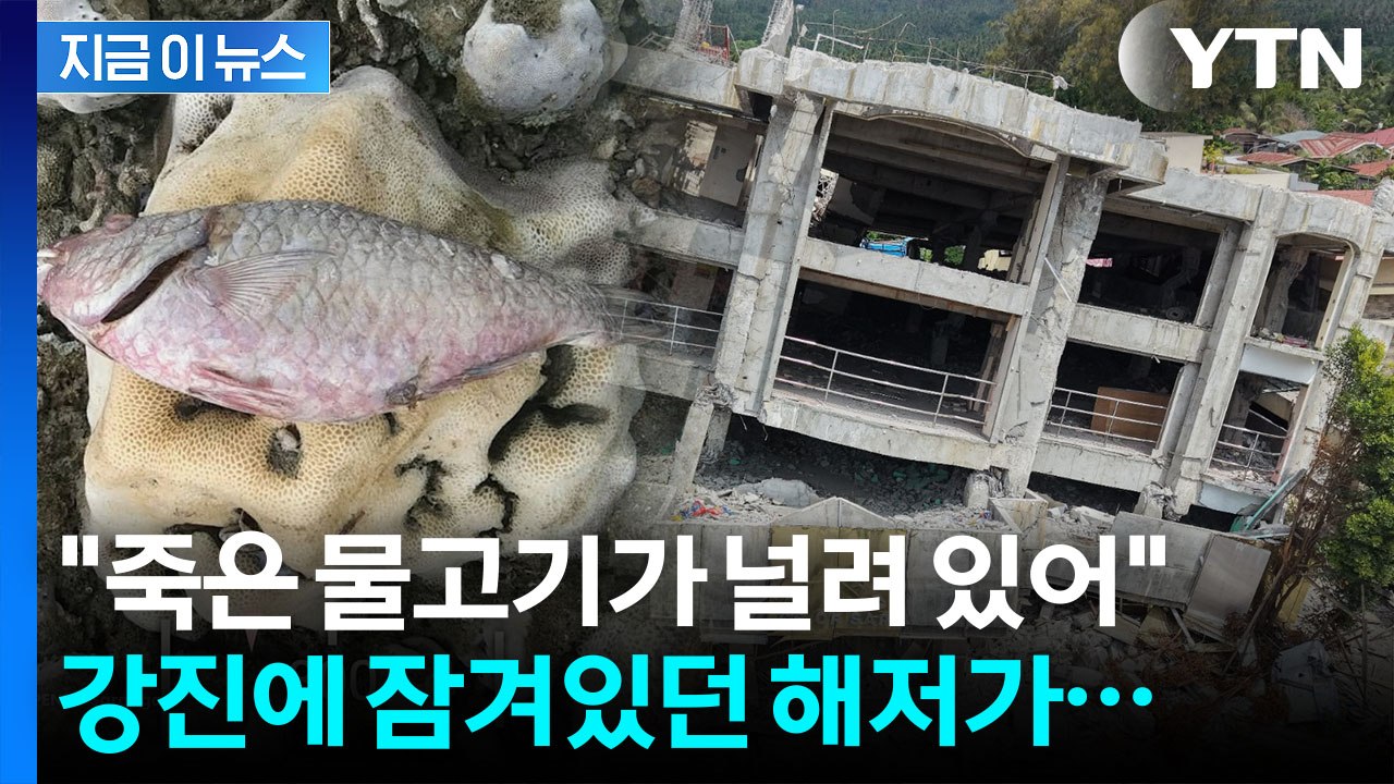 '불의 고리' 흔들리자 최고 2m 치솟았다…바닷속에서 대이동 [지금이뉴스] / YTN