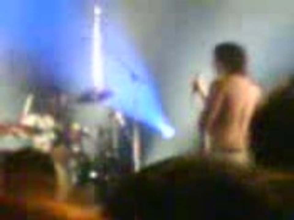 the blueberries, fete de la musique 2008, Brest Liberté