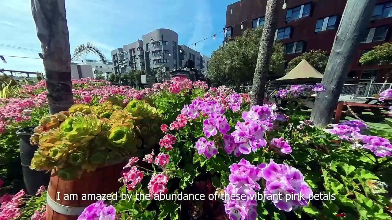 San Francisco: Mission Bay Parks | Urban Calm by the Water