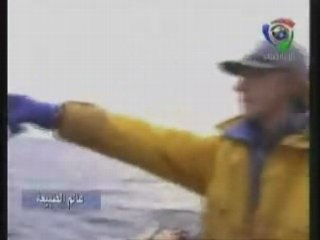 documentaire en arabe sur le Poissons Baleines