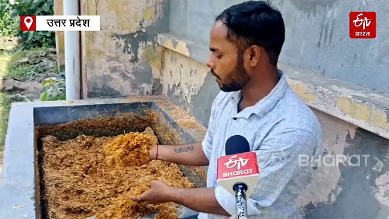 बिना AC और सर्दी के भी सालभर करिए मशरूम की खेती, जानिए खेती से मालामाल कर देने वाला नया तरीका