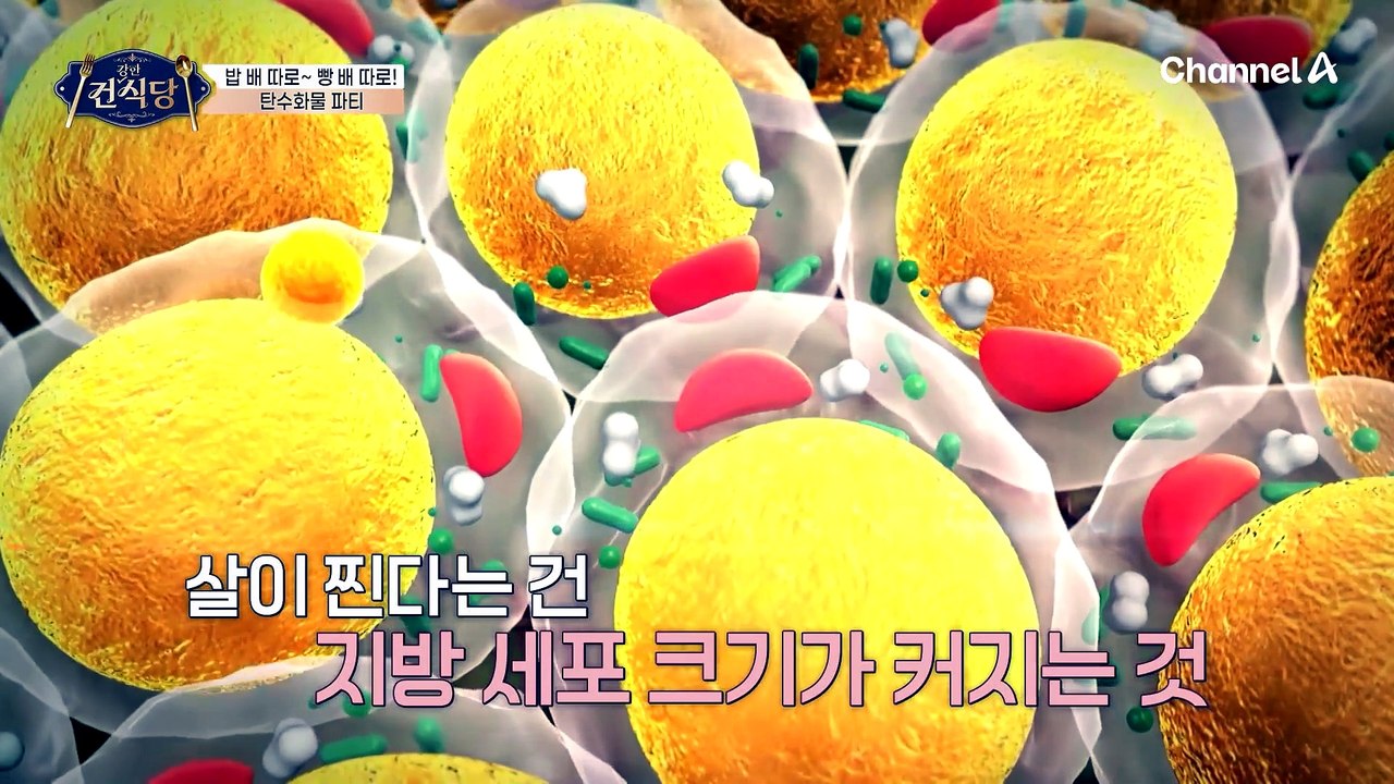 크래커 테스트로 알아보는 '살찌는 체질' 테스트! 뱃살이 찌는 이유를 찾아버렸다?!