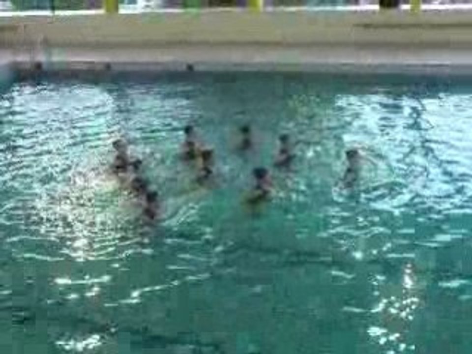 Gala de Natation Synchronisée 2008