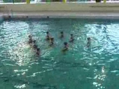 Gala de Natation Synchronisée 2008