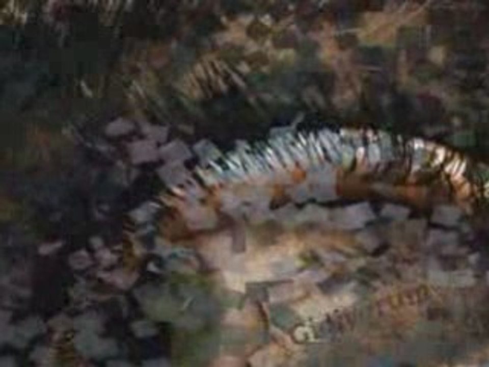 SeZeN AkSu-GiDiYoRuM BuTuN AsKlAr YuReGiMdE