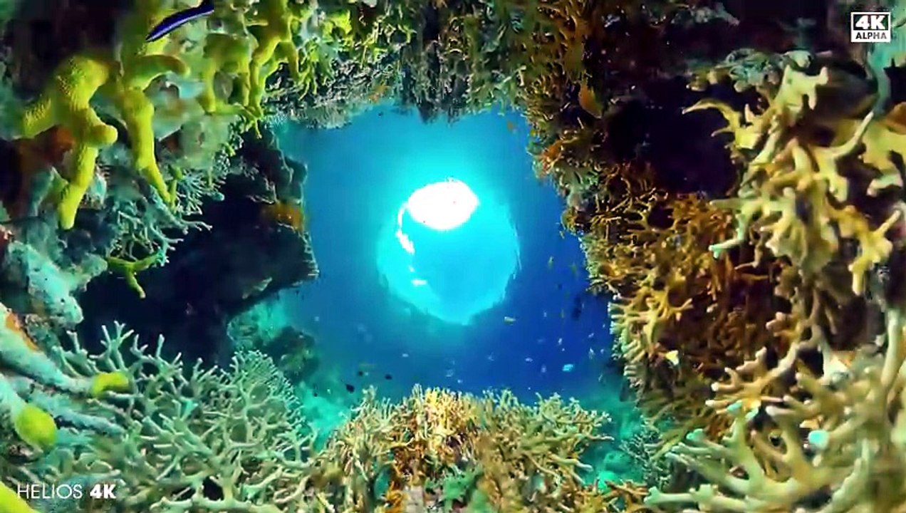 Deep Healing Music, Underwater Relaxation Music, Instant Relief from Stress and Anxiety, Calm Nature_
