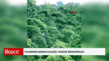 Yıldırımın neden olduğu yangın söndürüldü