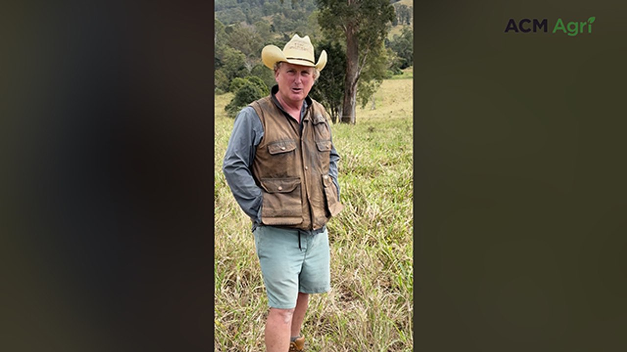 Inside one Queensland farmer's war on giant rat's tail